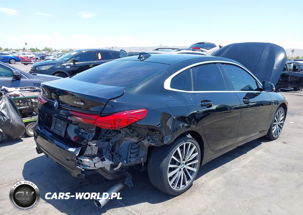 2020 BMW 228I Gran Coupe xDrive VIN:WBA73AK04L7F76176 - 6