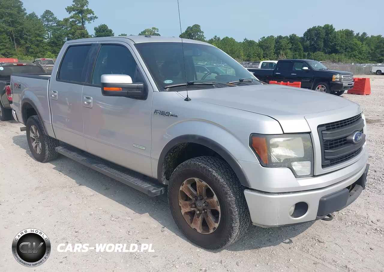2013 Ford F-150 Fx4 – zdjęcie 1 z 16