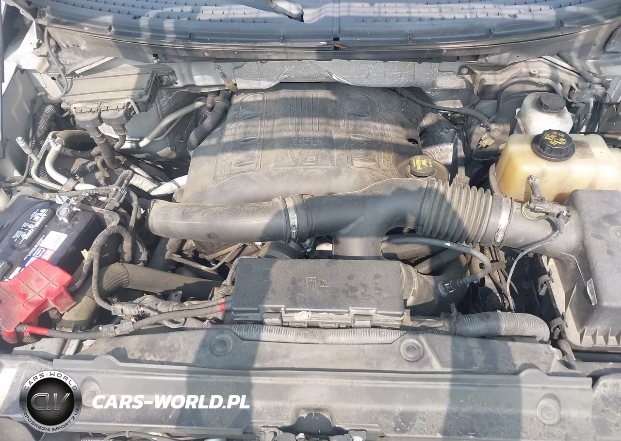 2013 Ford F-150 Fx4 VIN:1FTFW1ET1DKD02554 - 10