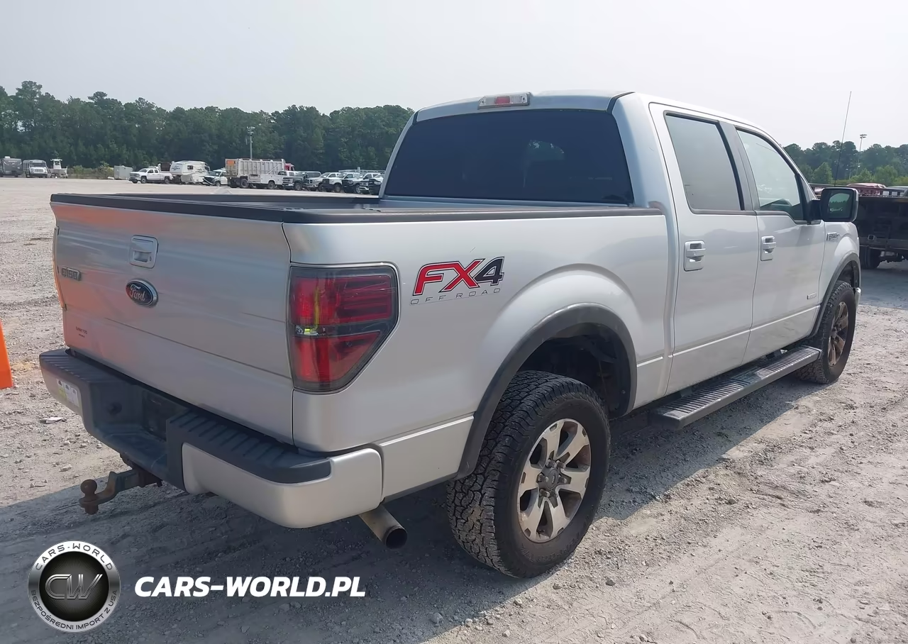 2013 Ford F-150 Fx4 VIN:1FTFW1ET1DKD02554 - 4