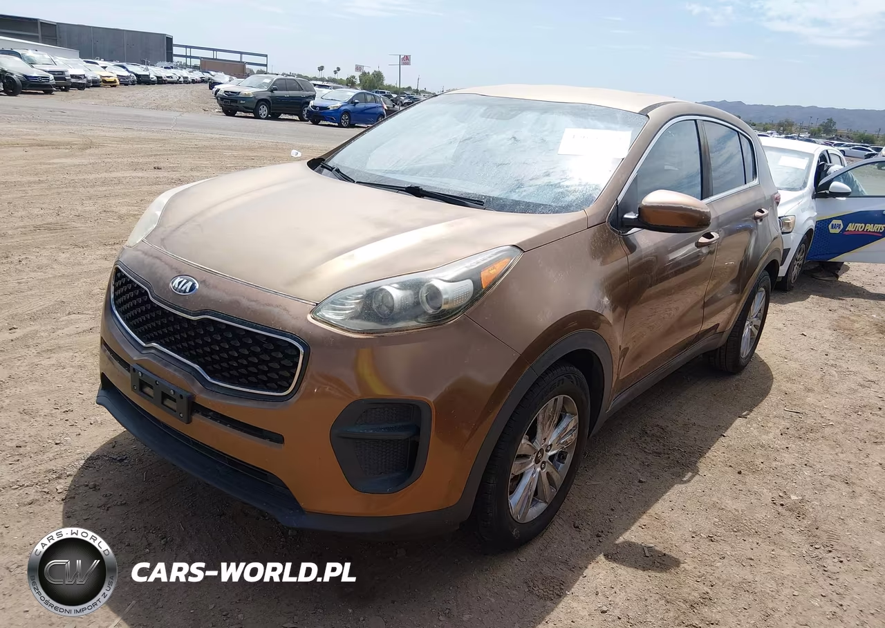2017 Kia Sportage Lx VIN:KNDPM3AC3H7080653 - 2