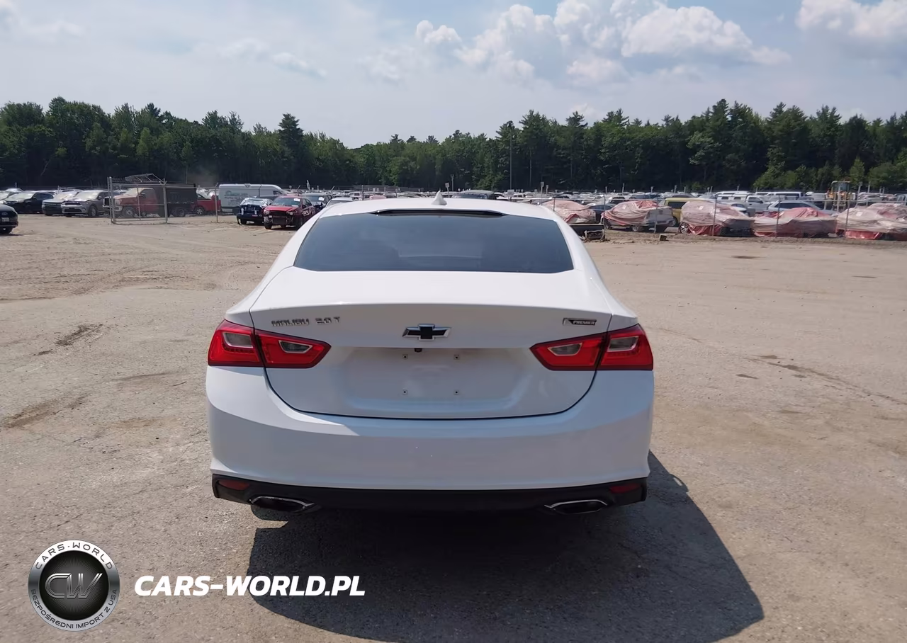 2018 Chevrolet Malibu Premier VIN:1G1ZE5SX9JF116367 - 16