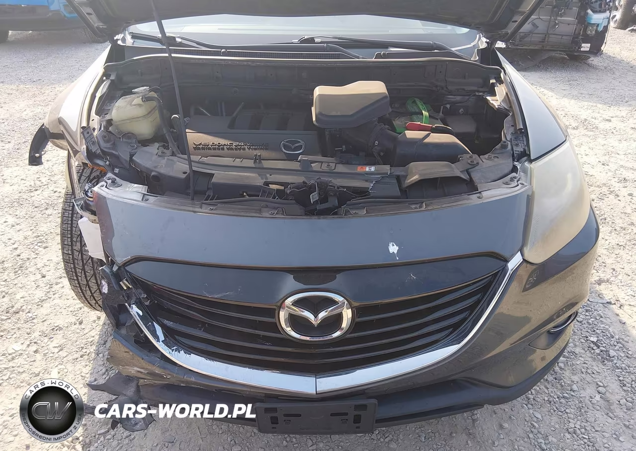 2015 Mazda Cx-9 Touring VIN:JM3TB3CV9F0465084 - 10