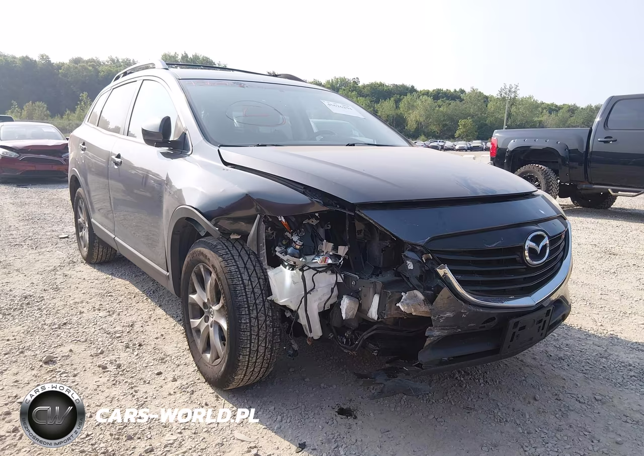 2015 Mazda Cx-9 Touring VIN:JM3TB3CV9F0465084 - 6