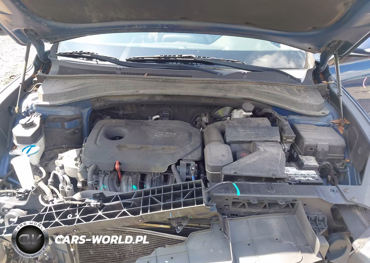 2019 Hyundai Santa Fe Limited VIN:5NMS53AD8KH130267 - 10