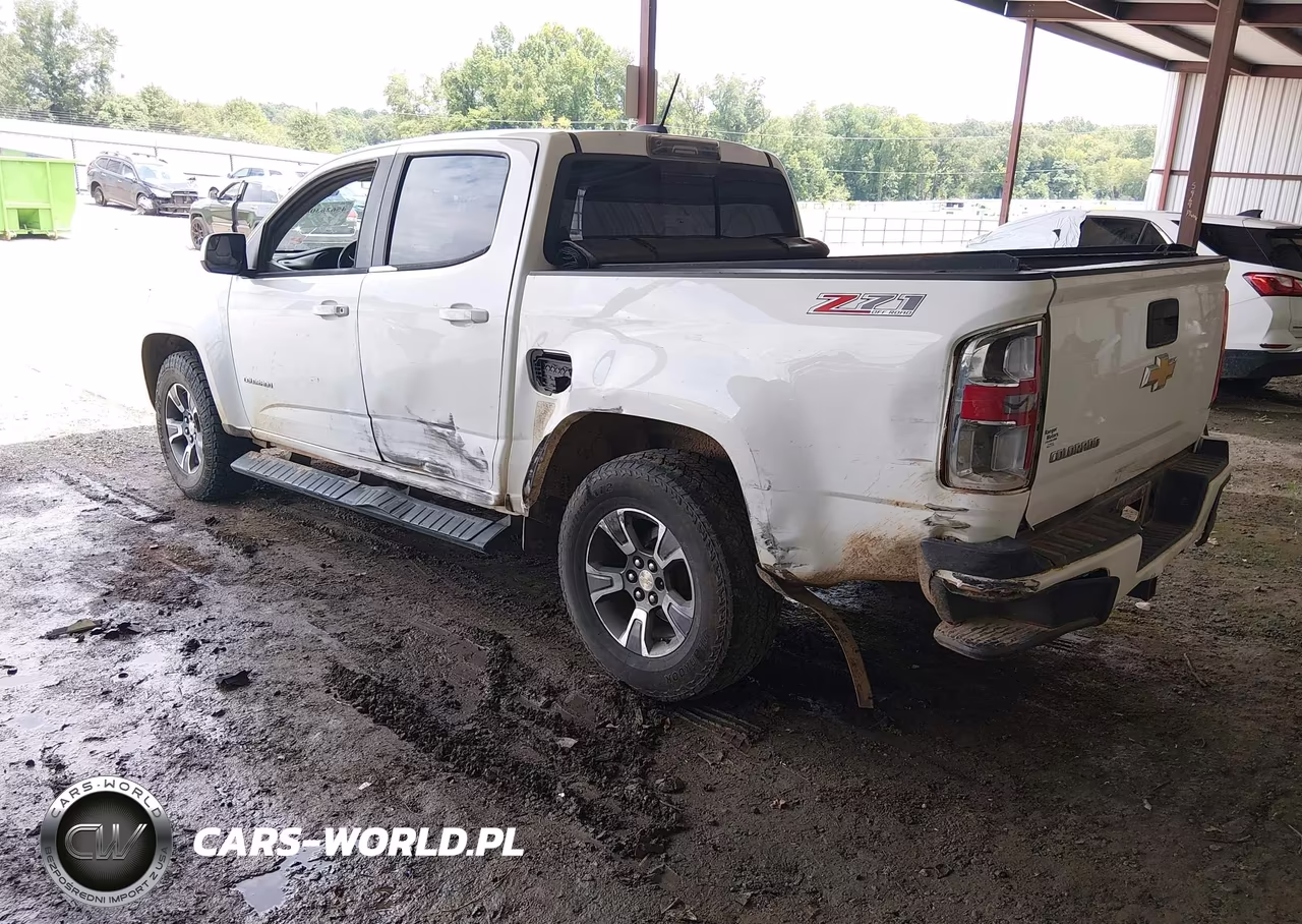 2016 Chevrolet Colorado 4Wd Z71 VIN:1GCGTDE35G1121255 - 3