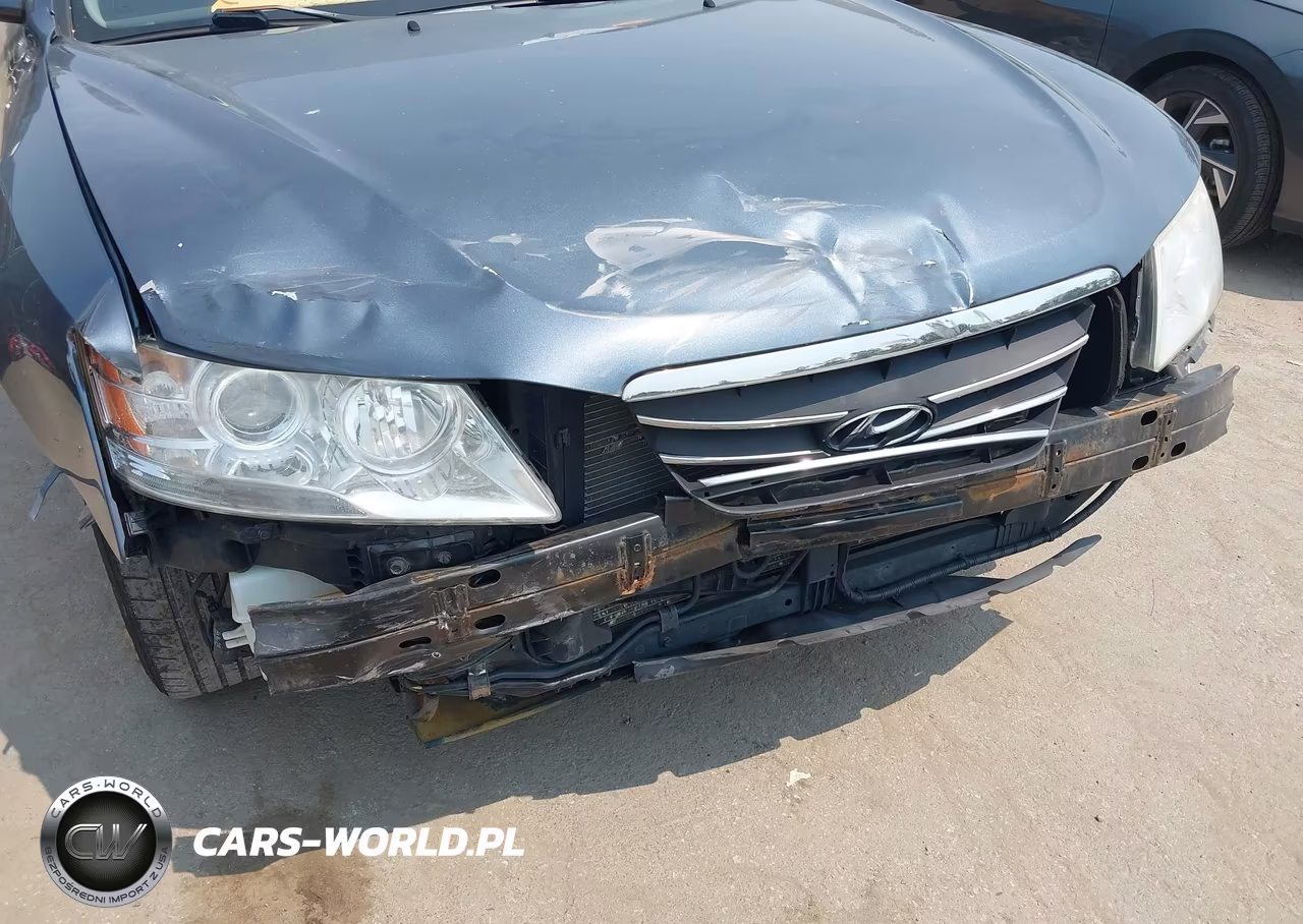 2010 Hyundai Sonata Gls VIN:5NPET4ACXAH614085 - 6