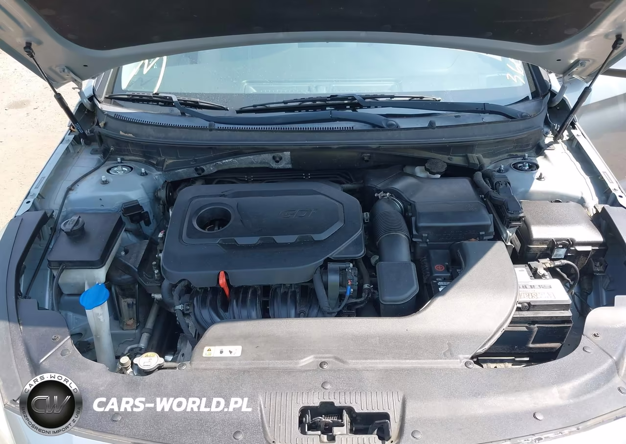 2016 Hyundai Sonata VIN:5NPE24AF6GH403200 - 10
