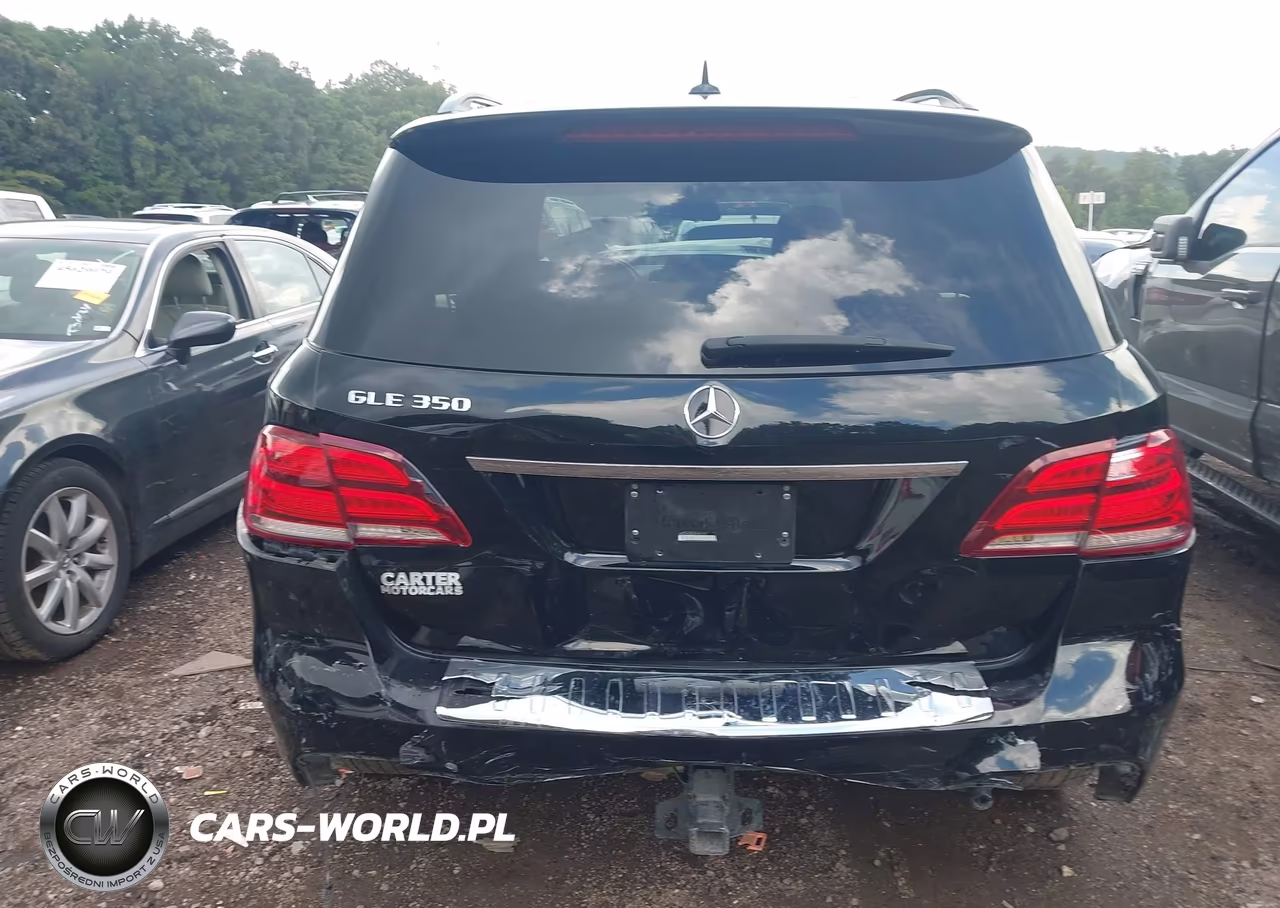 2018 Mercedes-Benz Gle 350 VIN:4JGDA5JB6JB182137 - 17