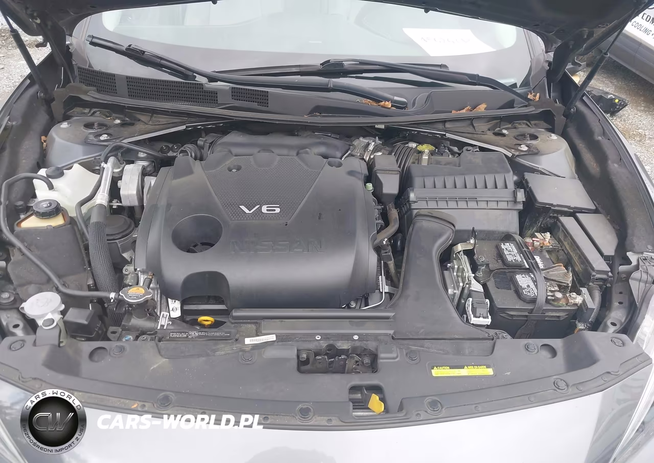 2016 Nissan Maxima 3.5 Sl VIN:1N4AA6AP3GC414193 - 10