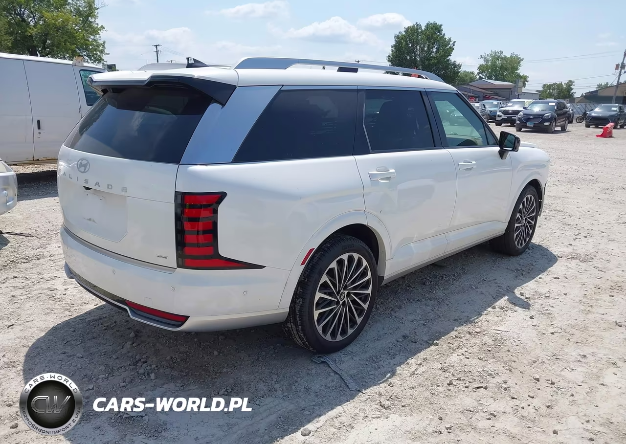 2026 Hyundai Palisade Calligraphy VIN:KM8RMES28TU026913 - 4
