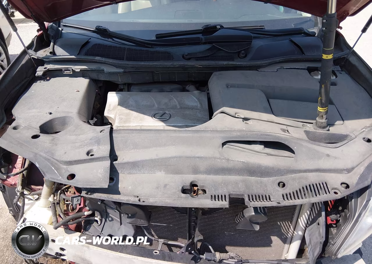 2010 Lexus Rx 350 VIN:2T2BK1BA3AC056869 - 10
