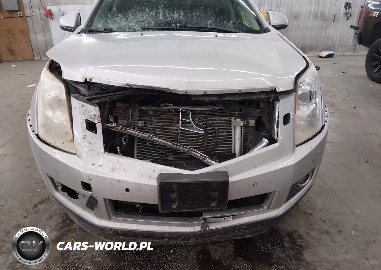 2013 Cadillac Srx Premium Collection VIN:3GYFNJE38DS552262 - 6