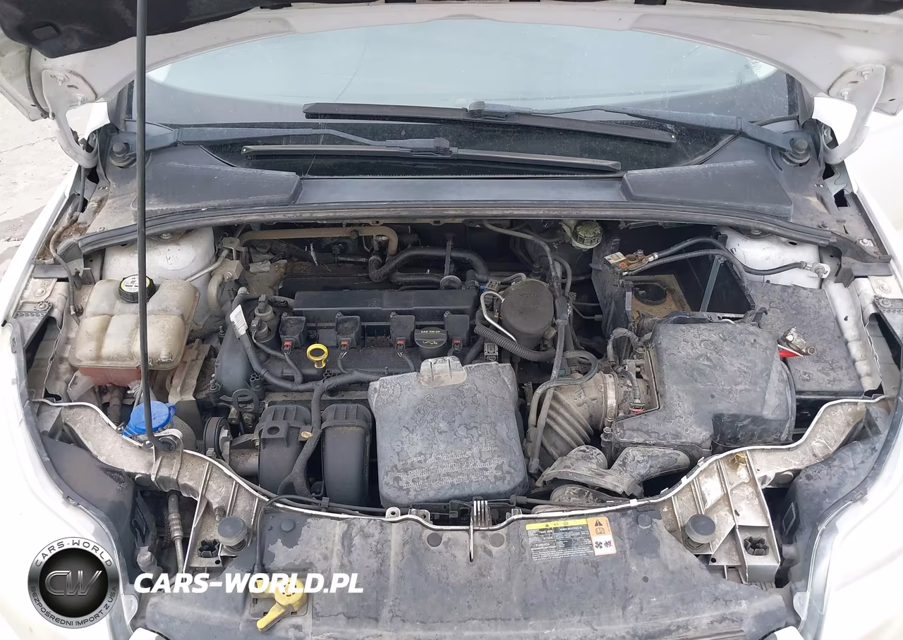 2013 Ford Focus Se VIN:1FADP3F26DL262588 - 10