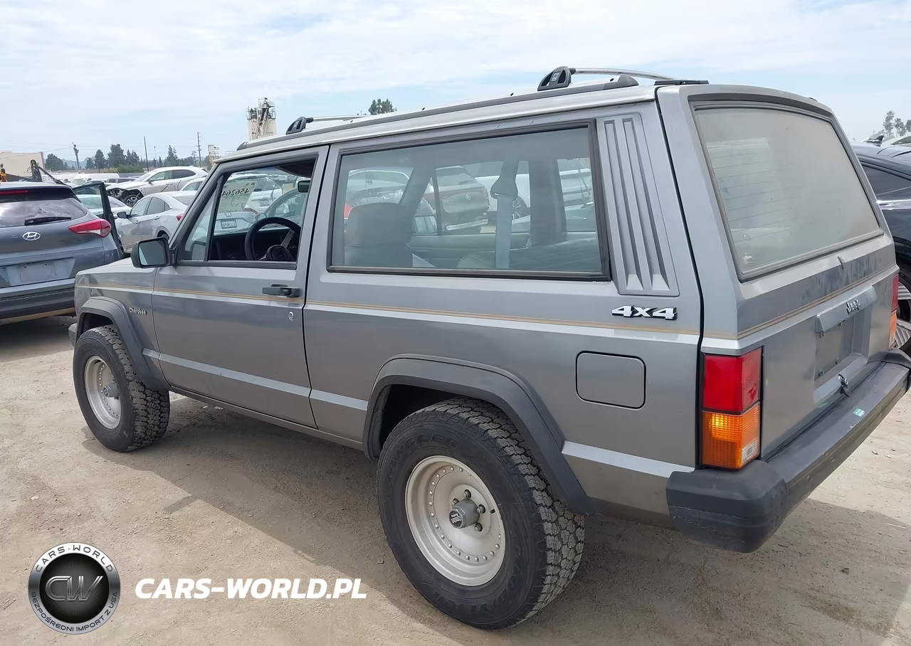 1991 Jeep Cherokee VIN:1J4FJ27P8ML556884 - 3