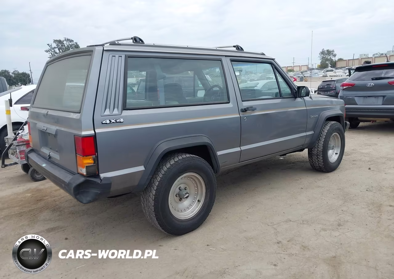 1991 Jeep Cherokee VIN:1J4FJ27P8ML556884 - 4