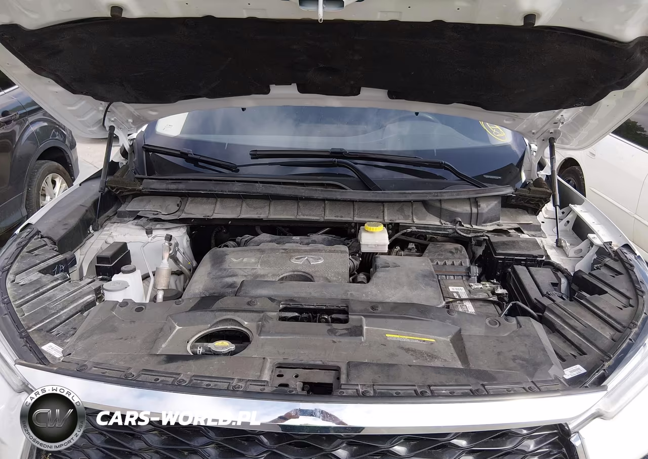 2024 INFINITI QX60 LUXE VIN:5N1DL1FR2RC354193 - 10