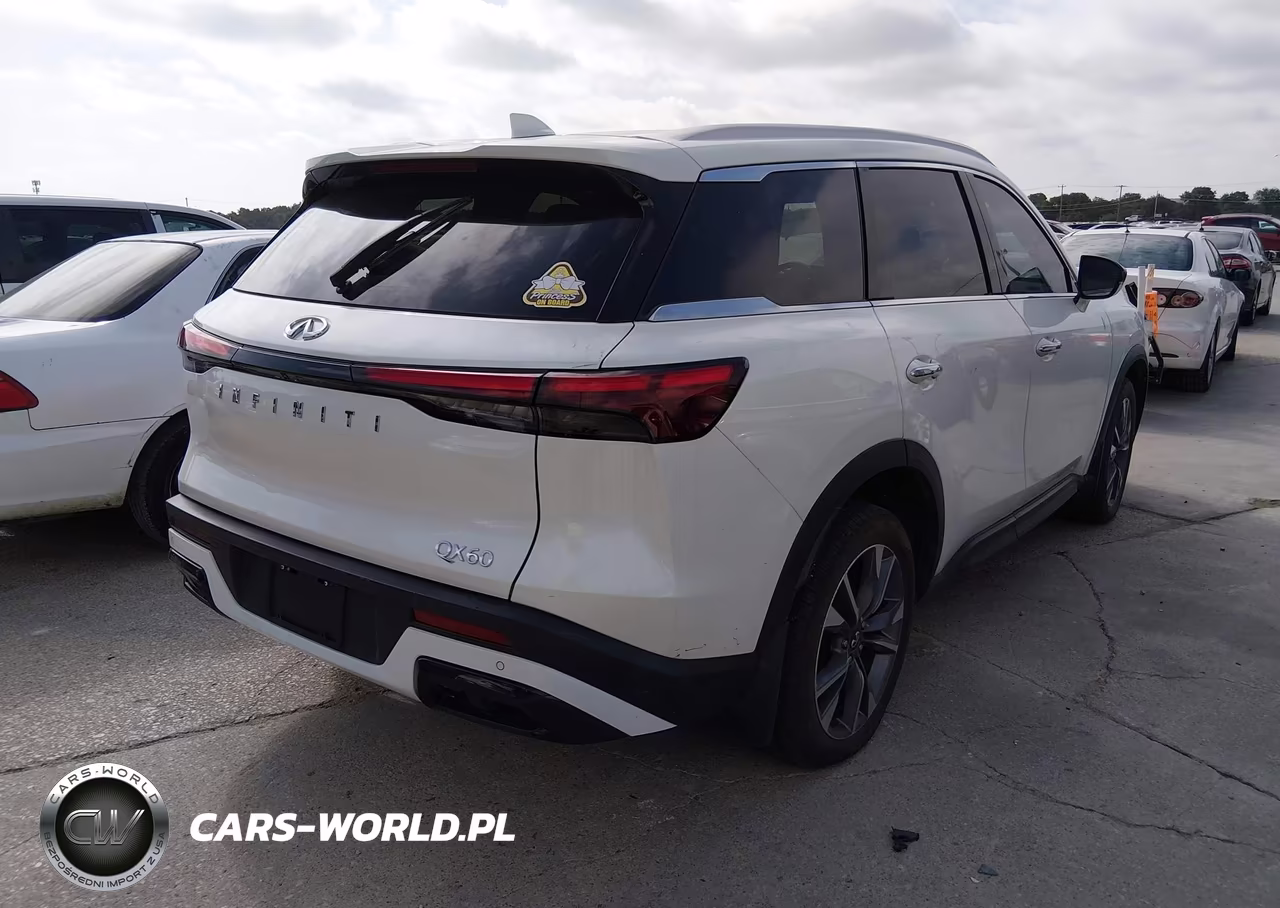 2024 INFINITI QX60 LUXE VIN:5N1DL1FR2RC354193 - 4