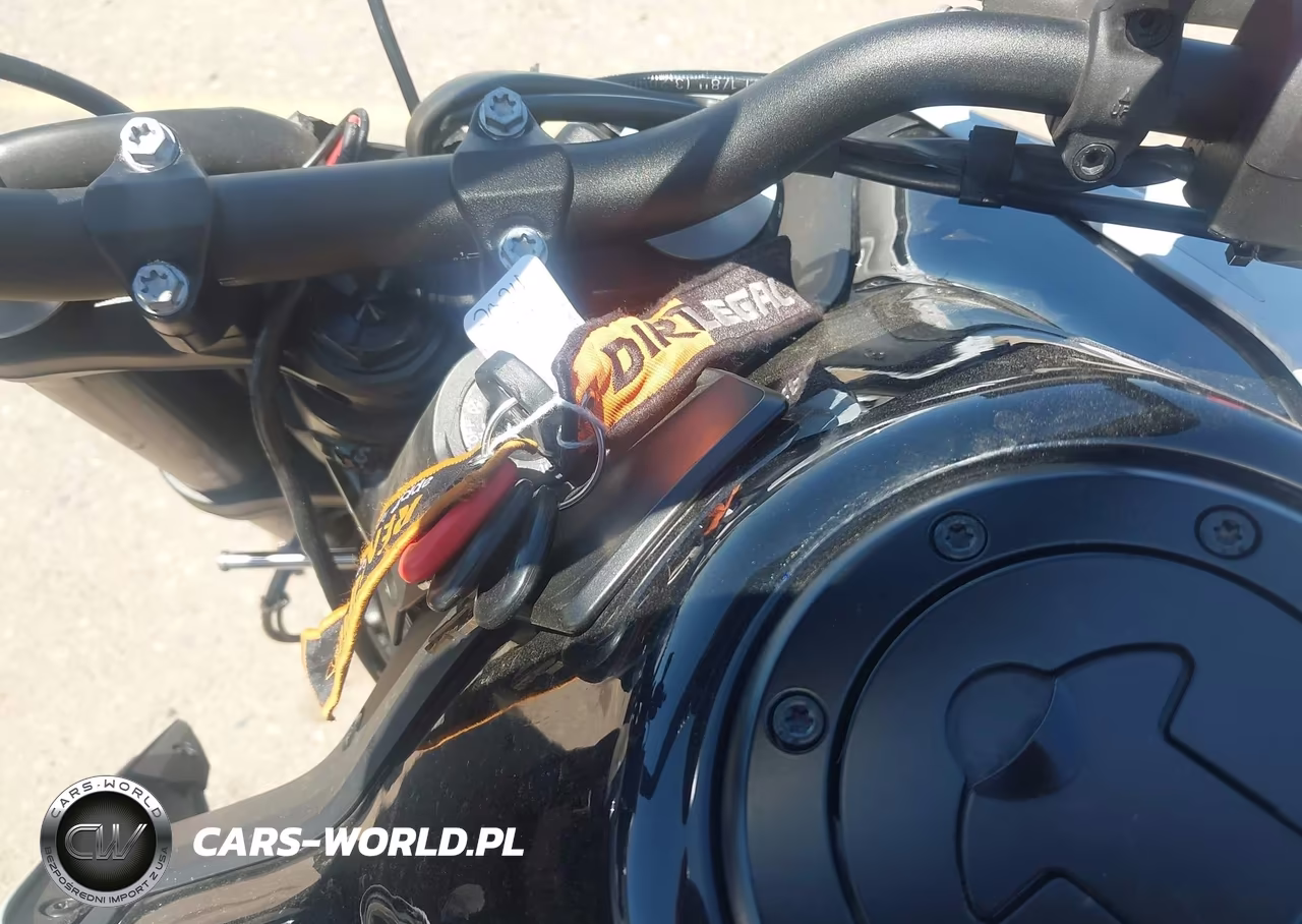 2024 Ktm 790 Duke VIN:LCETU7406RH710491 - 11