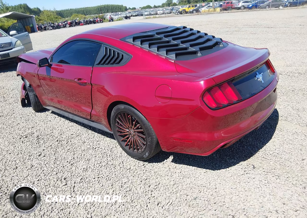 2017 Ford Mustang V6 VIN:1FA6P8AM8H5270488 - 3