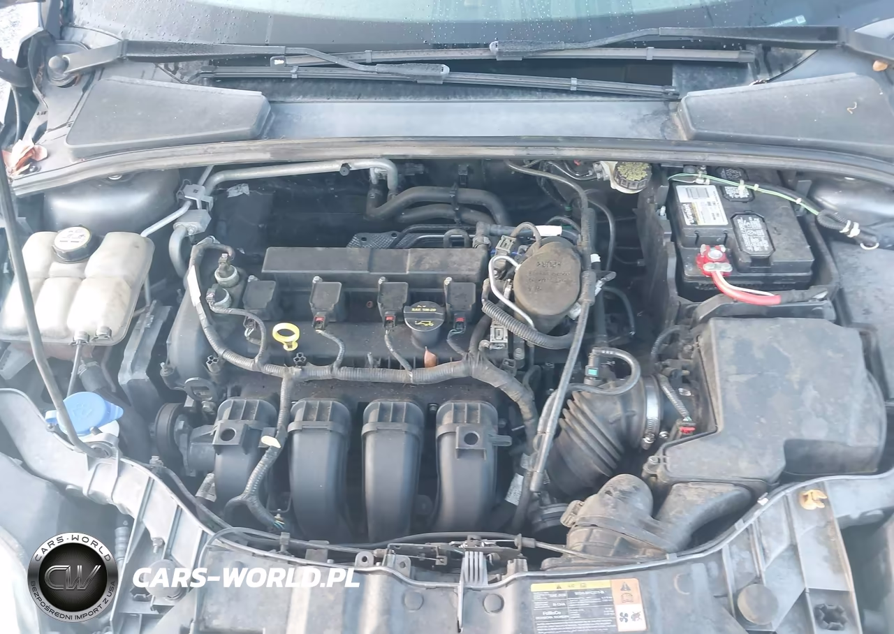 2013 Ford Focus Se VIN:1FADP3F27DL216932 - 10