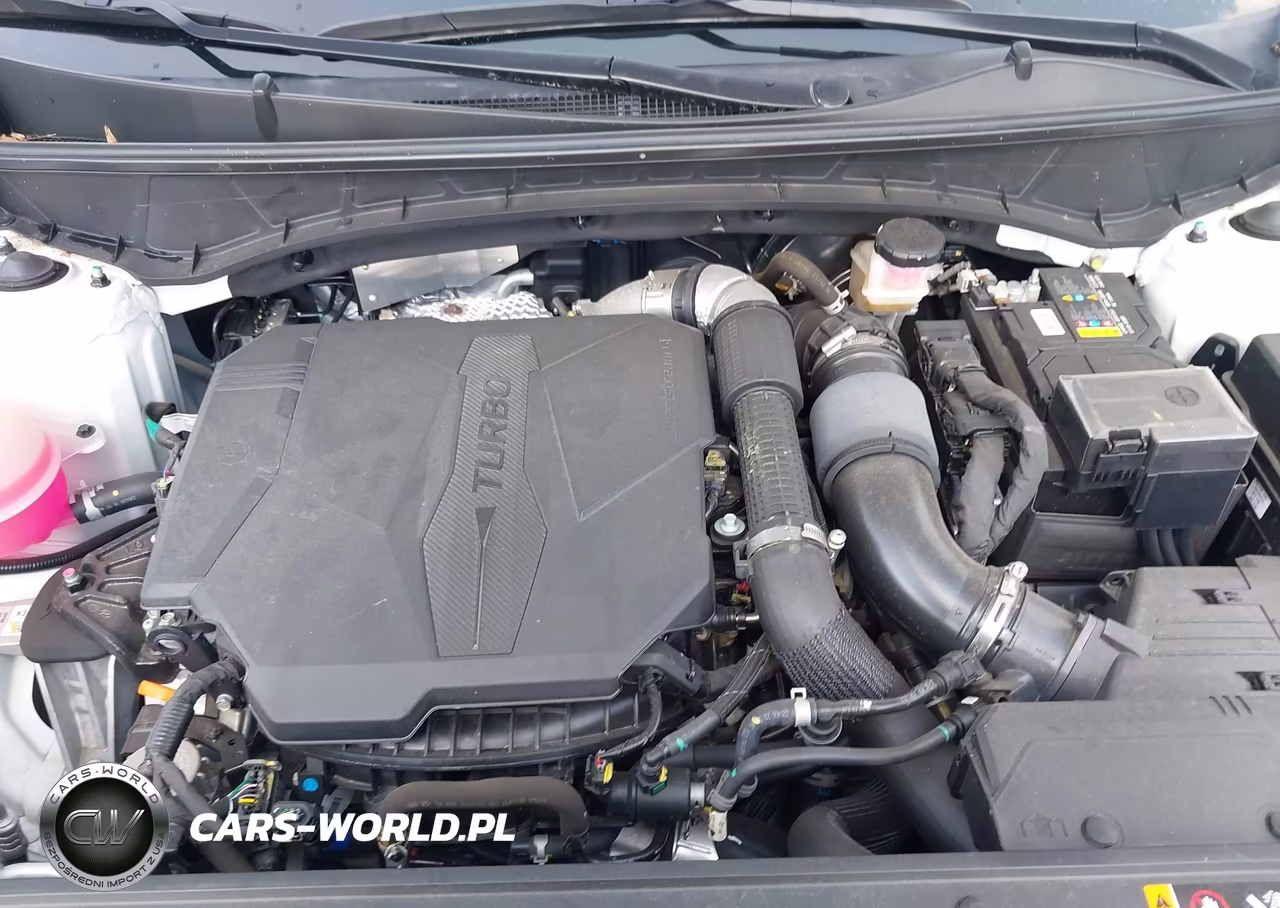 2023 Hyundai Santa Cruz Sel Premium VIN:5NTJDDAF3PH047430 - 10