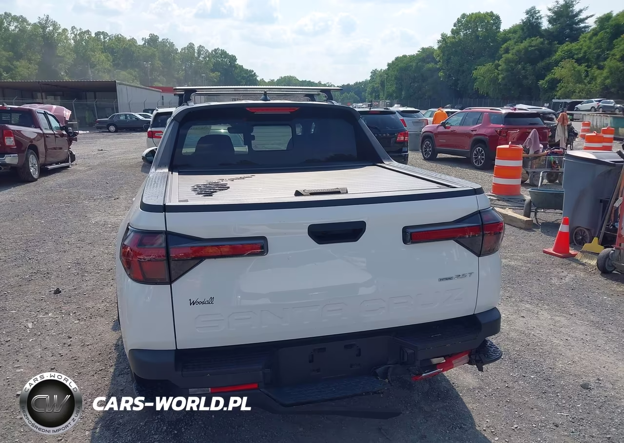 2023 Hyundai Santa Cruz Sel Premium VIN:5NTJDDAF3PH047430 - 16