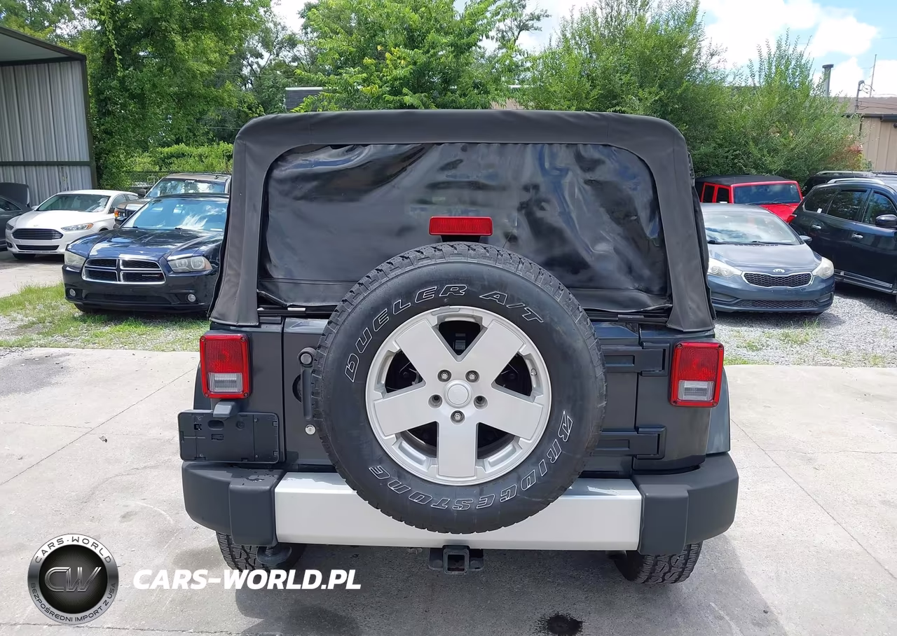 2010 Jeep Wrangler Sahara VIN:1J4AA5D11AL133393 - 16