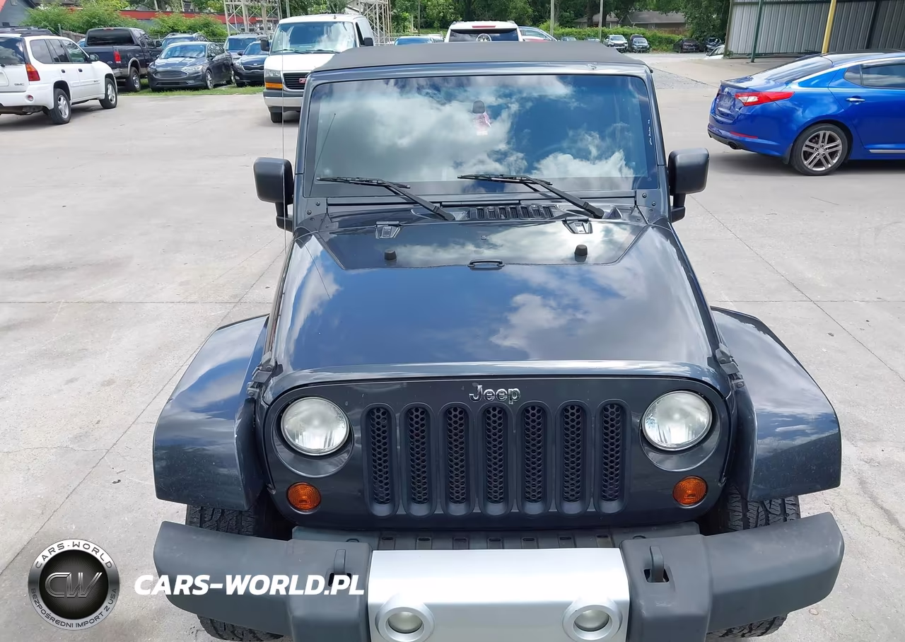 2010 Jeep Wrangler Sahara VIN:1J4AA5D11AL133393 - 6