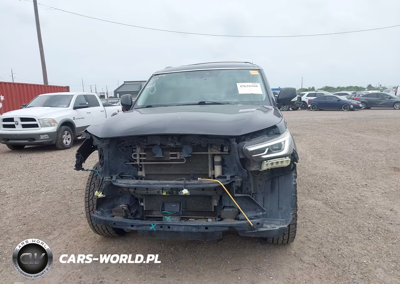 2019 Infiniti Qx80 Luxe VIN:JN8AZ2NE1K9227534 - 13