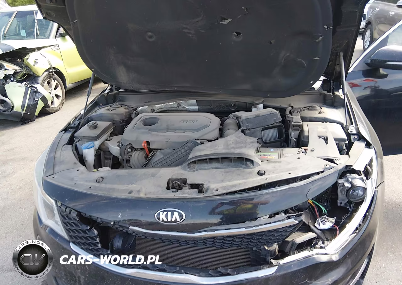 2016 Kia Optima Lx VIN:5XXGT4L39GG109133 - 10