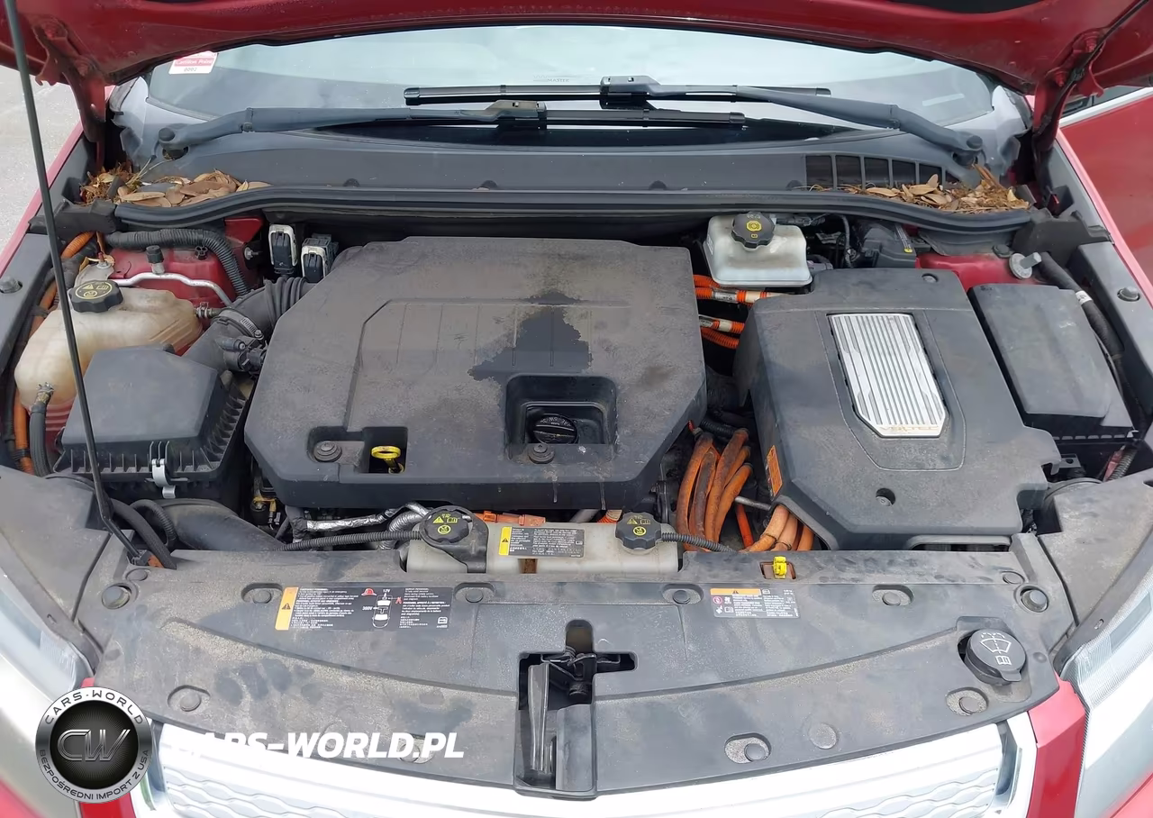 2013 Chevrolet Volt VIN:1G1RA6E41DU116088 - 10