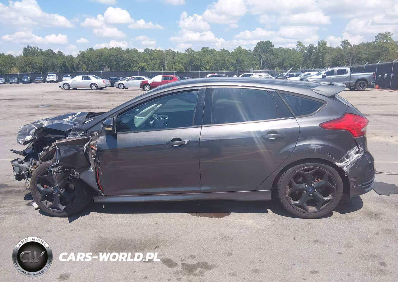2016 Ford Focus St VIN:1FADP3L98GL292679 - 14