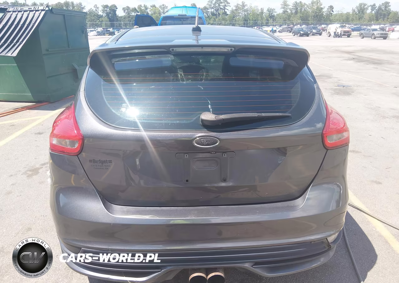 2016 Ford Focus St VIN:1FADP3L98GL292679 - 16