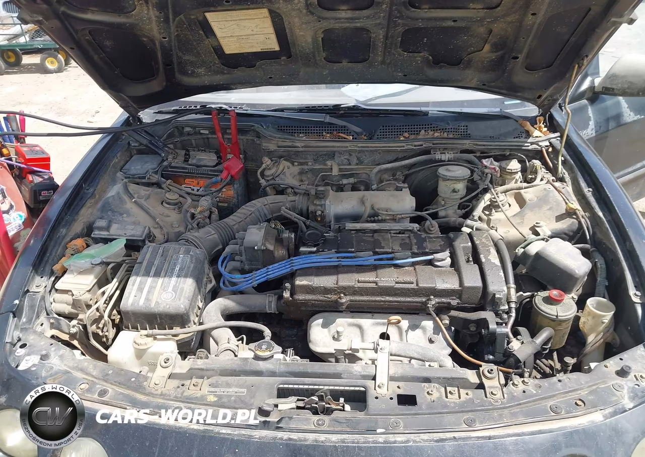 1994 Acura Integra Ls VIN:JH4DC4350RS013032 - 10