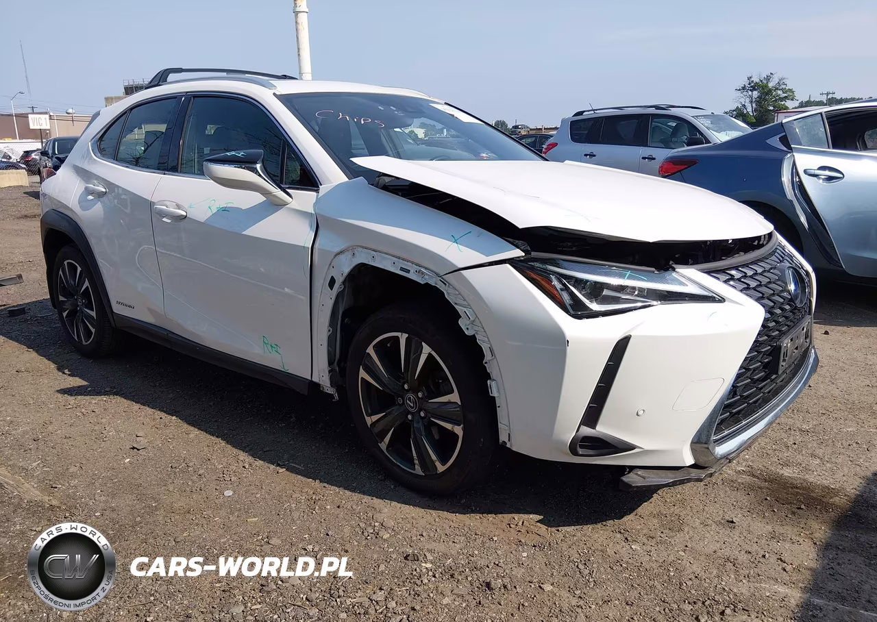 2019 Lexus Ux 250H