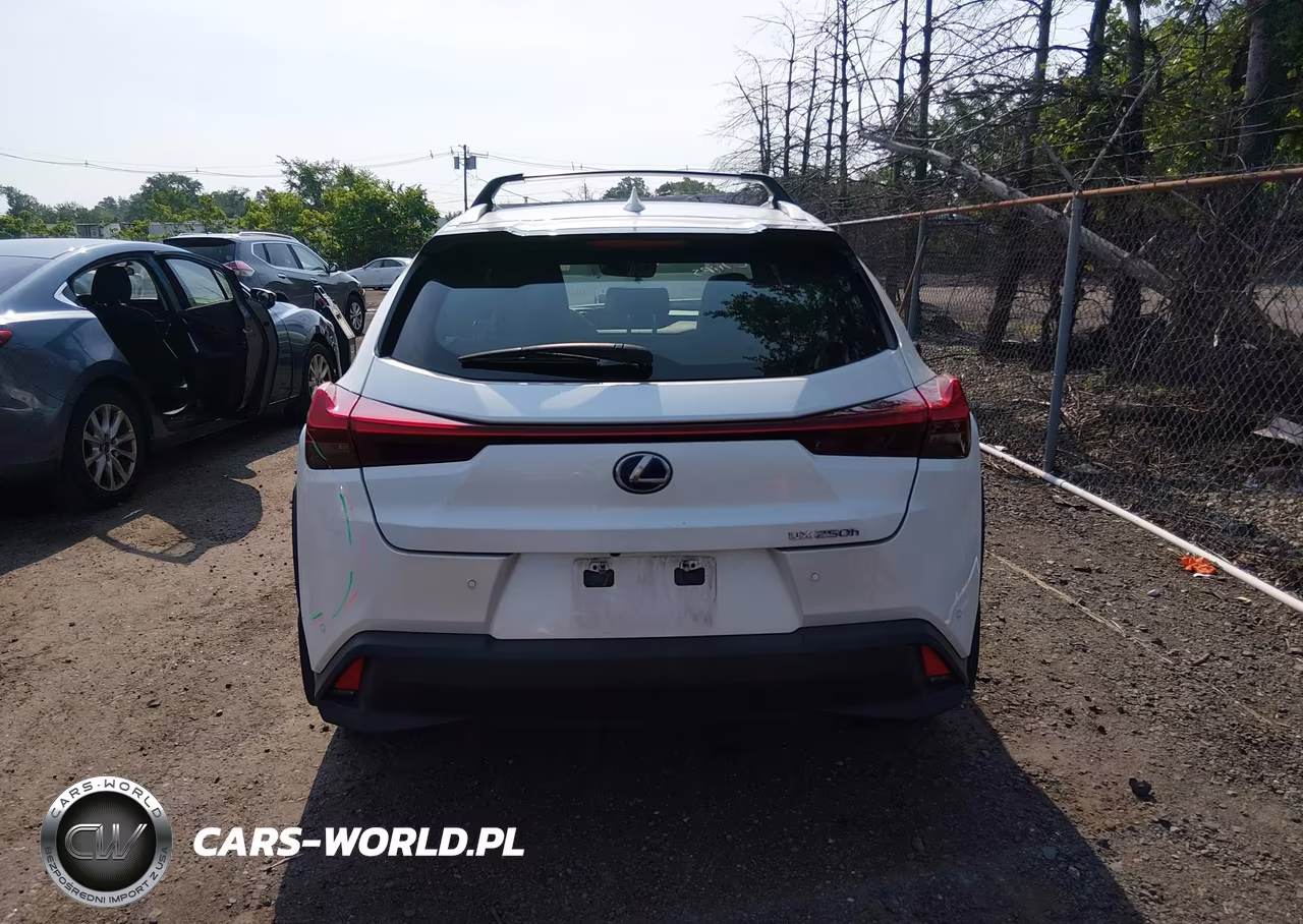 2019 Lexus Ux 250H VIN:JTHU9JBH6K2016127 - 16