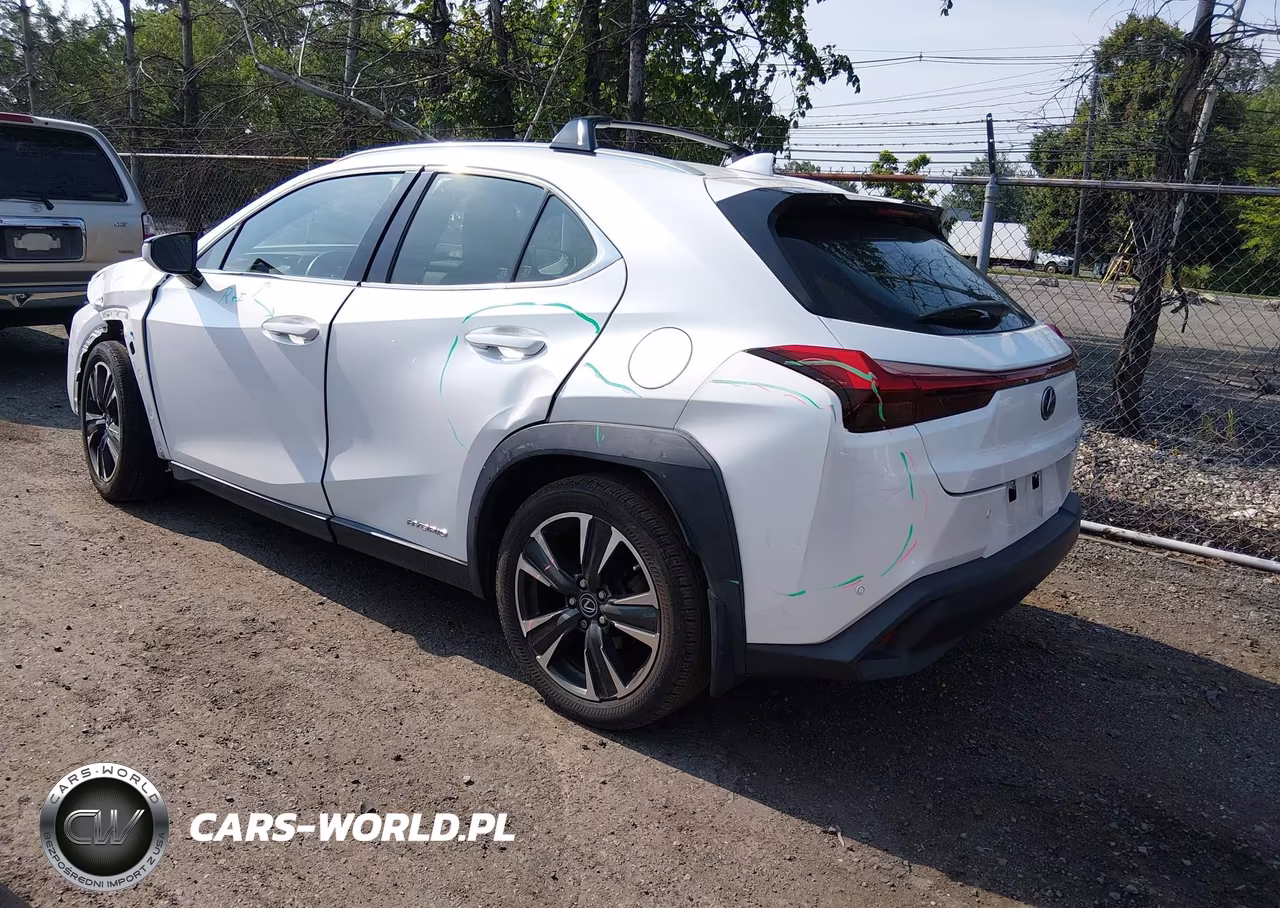 2019 Lexus Ux 250H VIN:JTHU9JBH6K2016127 - 3