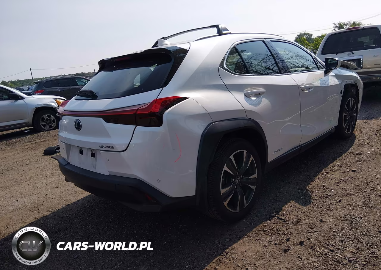 2019 Lexus Ux 250H VIN:JTHU9JBH6K2016127 - 4