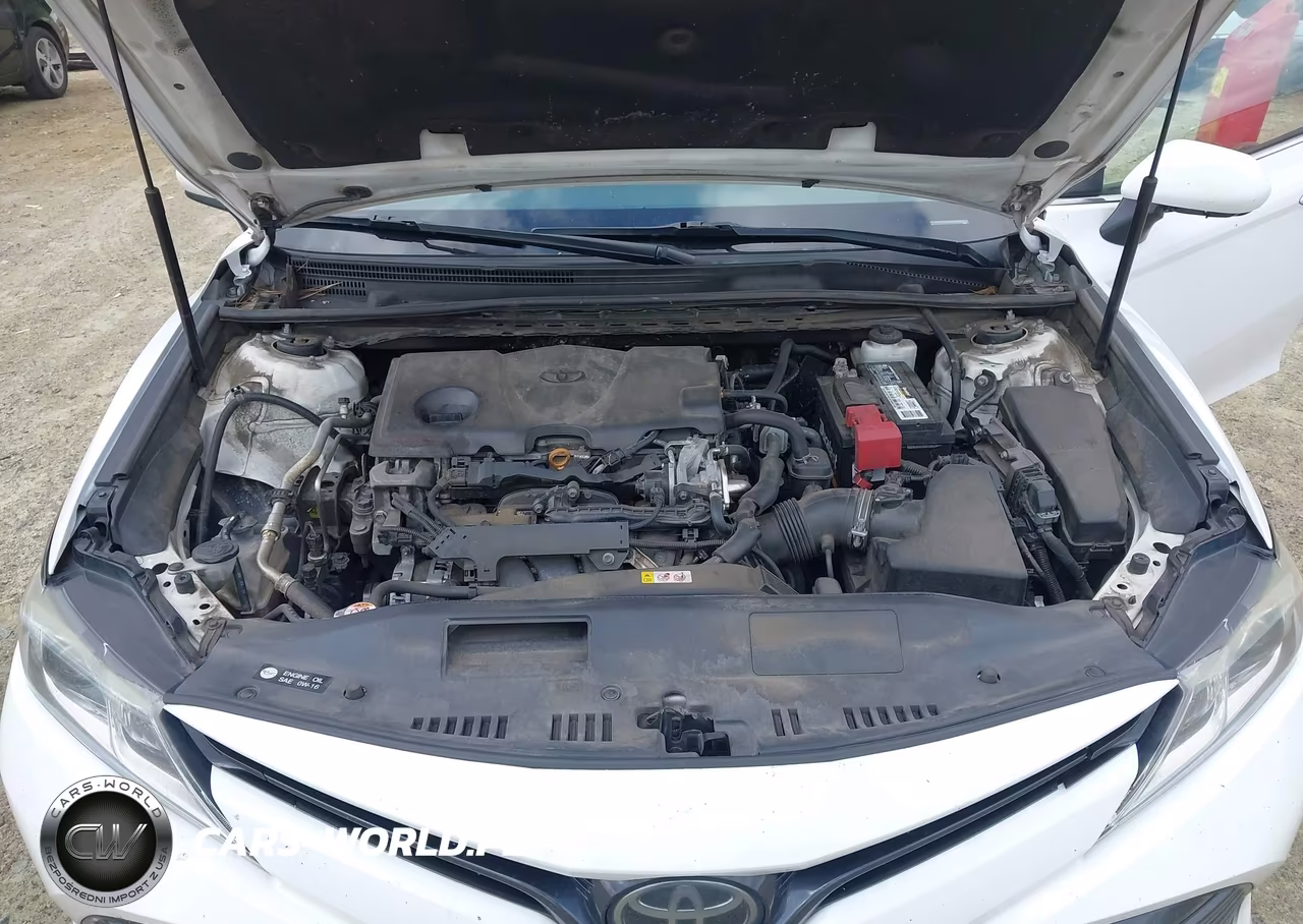 2020 Toyota Camry Le VIN:4T1C11AK5LU891038 - 10