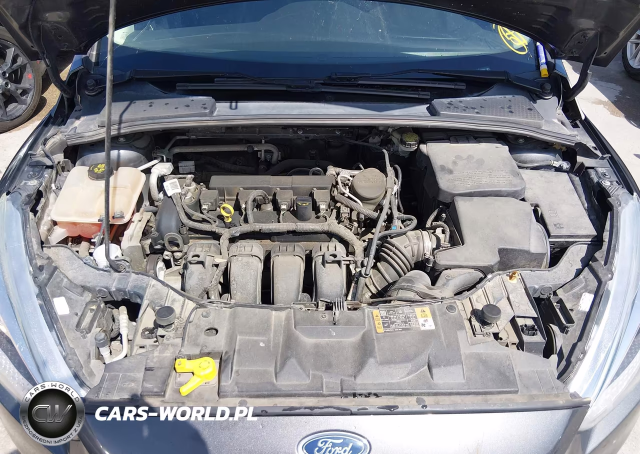 2016 Ford Focus Se VIN:1FADP3F29GL293452 - 10