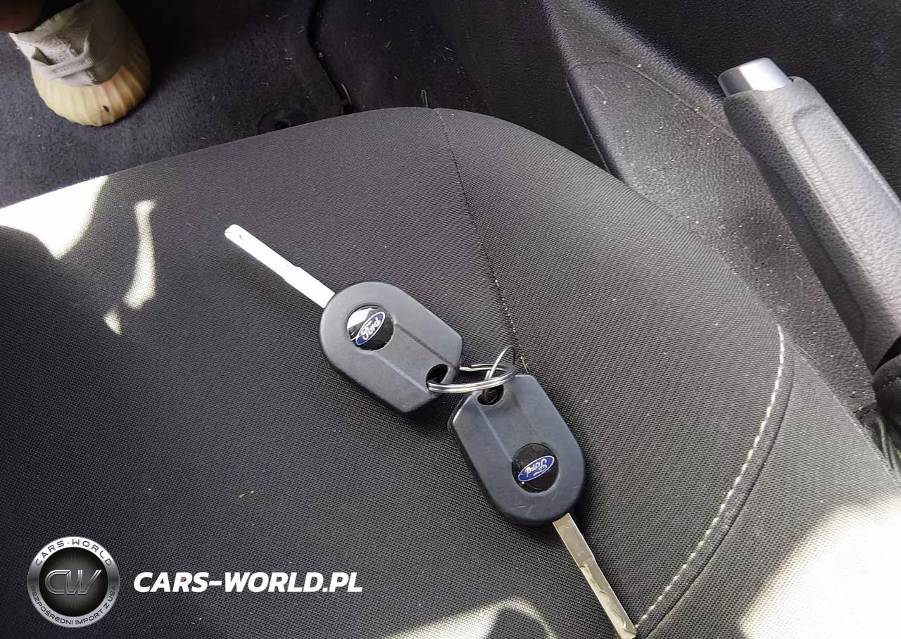 2016 Ford Focus Se VIN:1FADP3F29GL293452 - 11