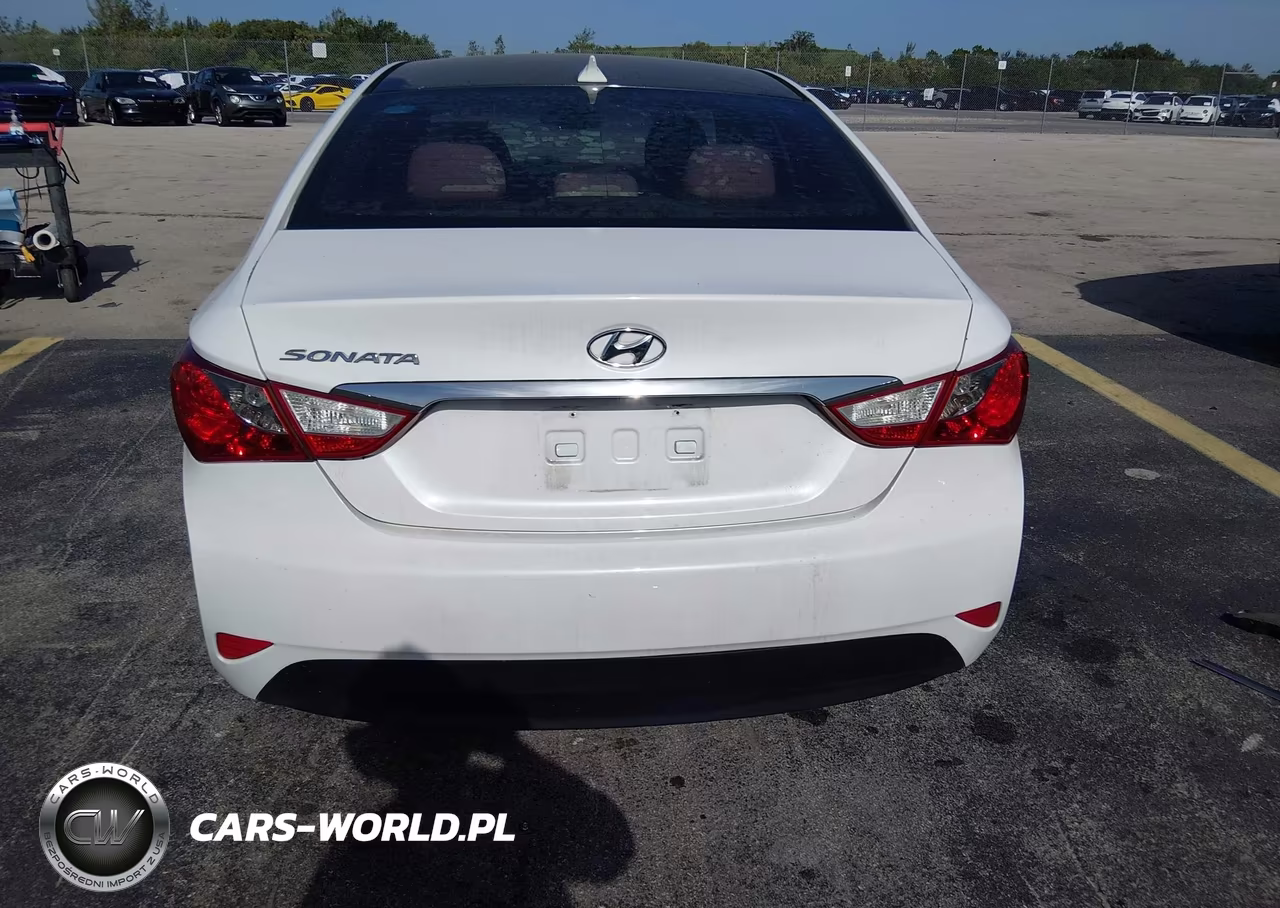 2014 Hyundai Sonata Gls VIN:5NPEB4AC1EH885528 - 17