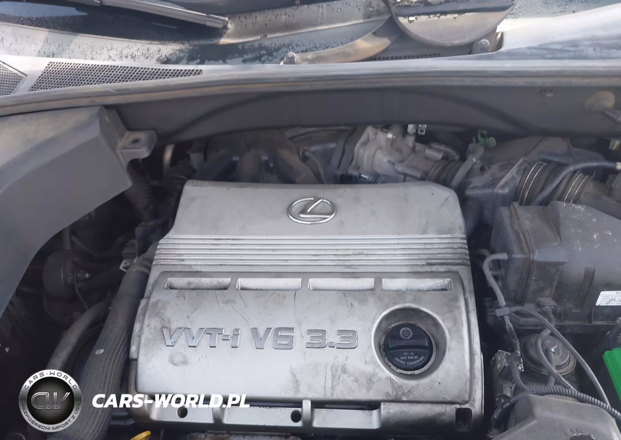 2006 Lexus Rx 330 VIN:2T2GA31U76C051973 - 10