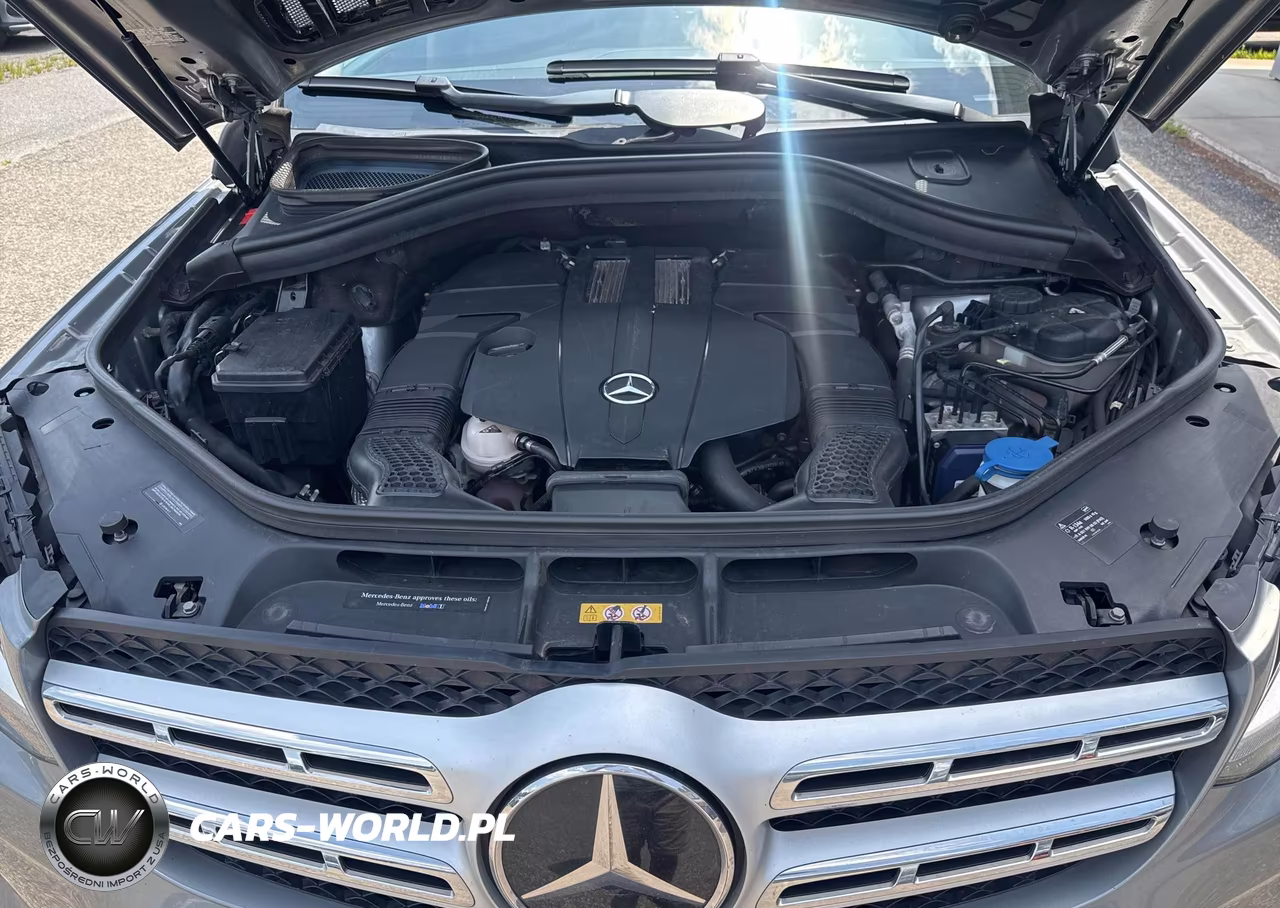 2017 Mercedes-Benz Gls 450 4Matic VIN:4JGDF6EE3HA753269 - 10