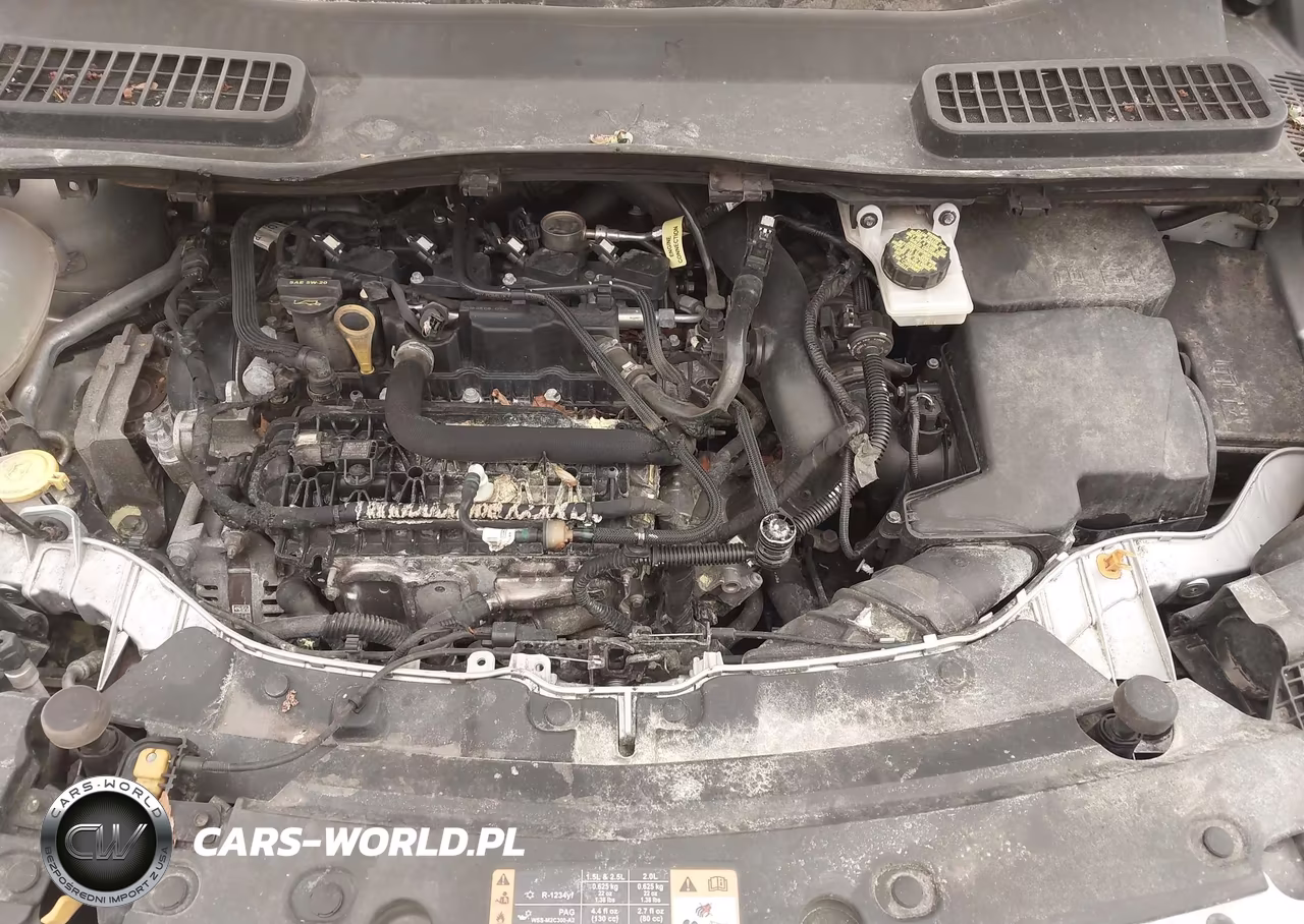 2019 Ford Escape Se VIN:1FMCU9GD2KUC34372 - 10