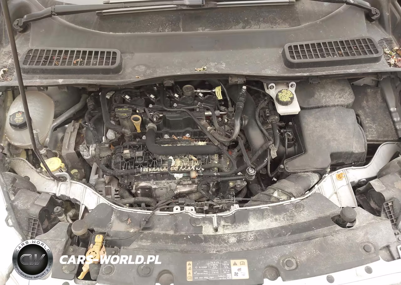2019 Ford Escape Se VIN:1FMCU9GD2KUC34372 - 6