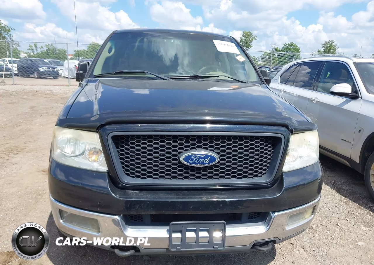 2004 Ford F-150 Fx4-Lariat-Xl-Xlt VIN:1FTPX14574NA43345 - 6