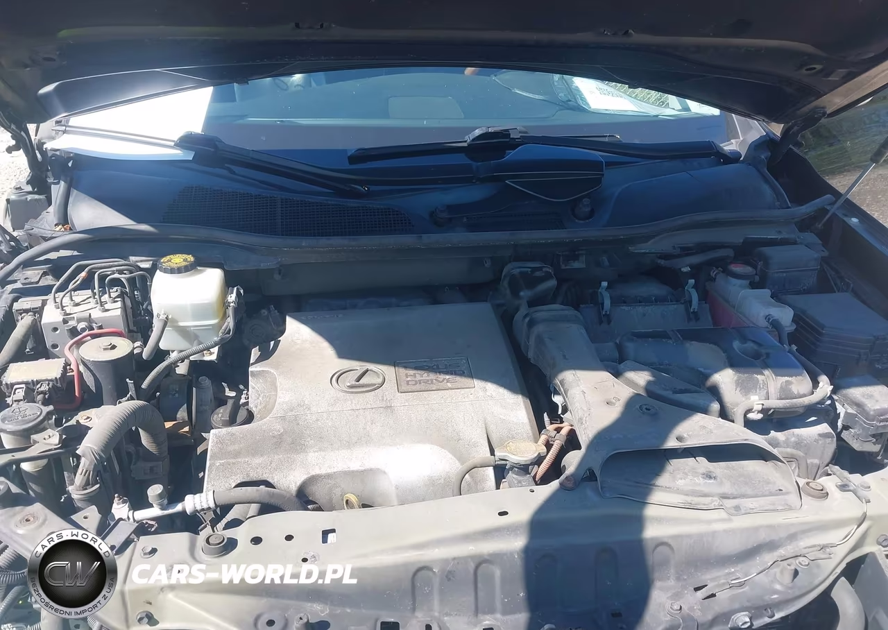 2015 Lexus Rx 450H VIN:2T2BC1BA1FC008761 - 10