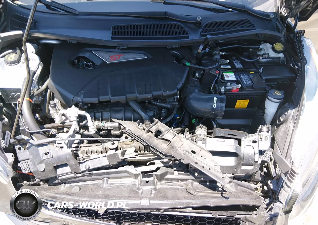 2017 Ford Fiesta St VIN:3FADP4GX1HM104664 - 10